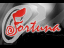Fortuna Rdi logo