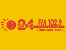 Rdi 24 logo