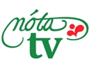 Nta TV logo