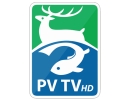 PV TV HD logo