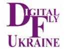 DigitalFly logo