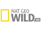 NatGeoWild HD TV logo